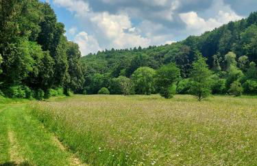 Apartment bei Nürburgring, Parking, Homeoffice - Foto 57