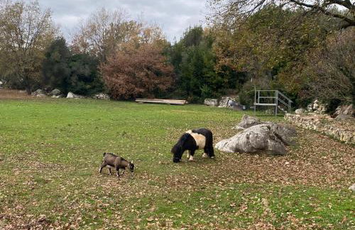 Meridiem Holiday Home in Dubrovnik region - Foto 75