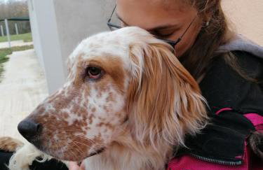 Tiny house Dora - Foto 23