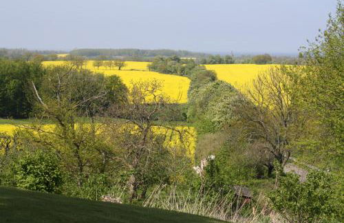 Reethus Stöfs - Foto 36