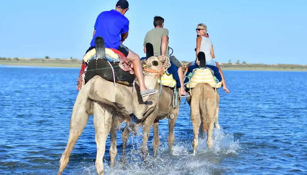 Disfrutando del paseo en camello