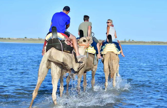 Djerba Lagoon Camel Ride - Foto 1