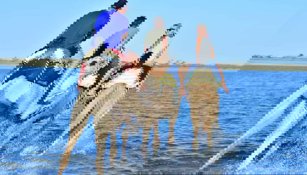 Desfrutando do passeio de camelo