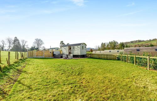 Sunflower - Uk42360 - Foto 15