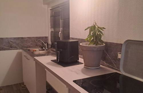 La petite Simonoise - Foto 10