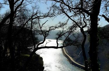 Auszeit Rheingauer Rosengasse - Photo 28