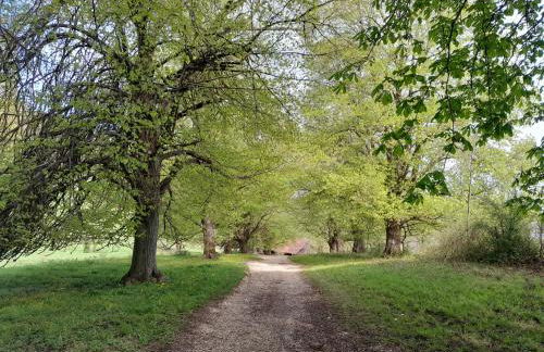 Limburgstube - Foto 6