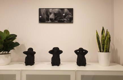 Alex Place's - Foto 66