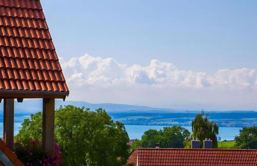 Ferienhof Dreher - Foto 3