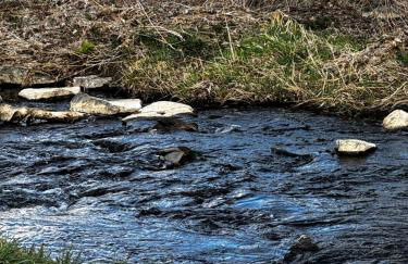 Ferienwohnung Weitblick - Foto 54