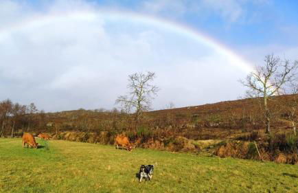 Aldeia de Moura Morta - Foto 20