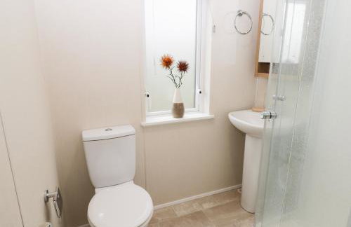 Huckleberry - Foto 16