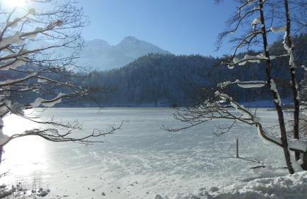 FW Weissensee 44 - Foto 49