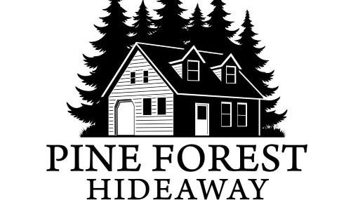 The Guesthouse at Pine Forest Hideaway - Near Jordan Lake & 12 Minutes to UNC - Foto 2