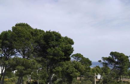 Dream House - Photo 36