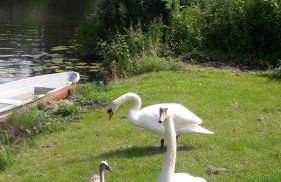 Ferienhuette - Photo 34