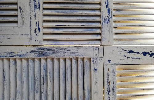 Calamilloraptm2 - Foto 19