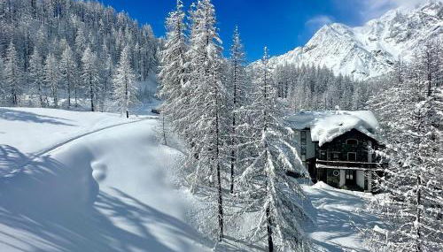 FLORA ALPINA EXPERIENCE - "Ski-to-Door" Brand New Chalet Apartments with Indoor Garage and Mountain View - Foto 3, Garden