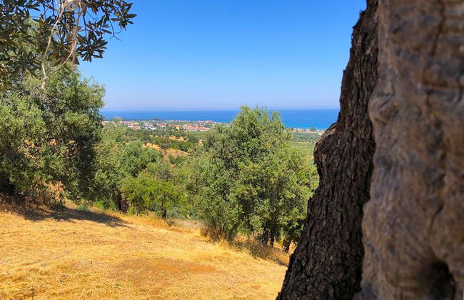 Agriturismo Vulcano - Foto 15