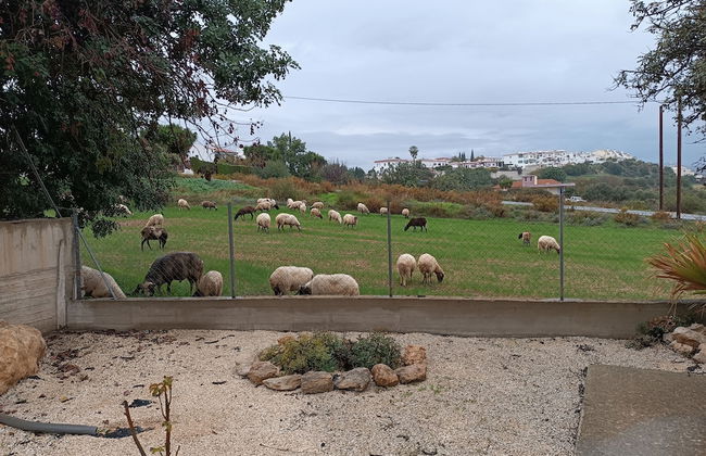 Kapsalia Holiday Villas - Foto 63