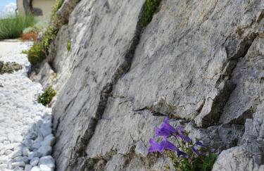 Holiday Home Demark - Foto 20