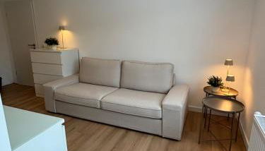 Zentrale Wohnung mit eigenem Eingang und Stellplatz - Foto 2