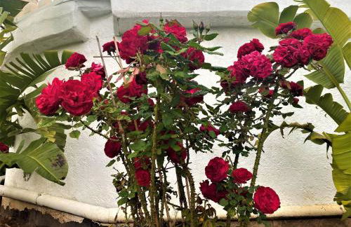 Villa Esmeralda - Foto 41