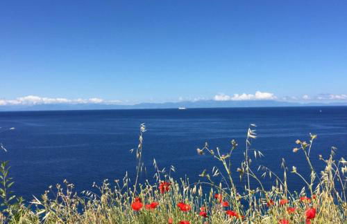 Casa Guerrino - Foto 27