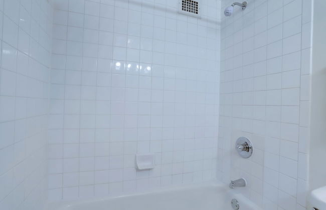 Apt Near Airport in Crystal City - Photo 31