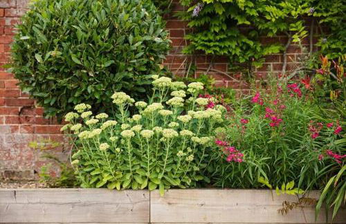 Priory Barn - Photo 14