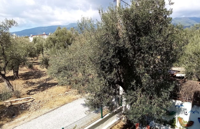 Yazduf Family Homes - Foto 41