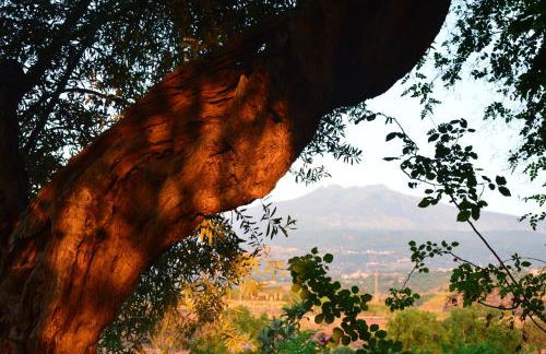 Antico Borgo Etneo Country Hotel - Foto 110