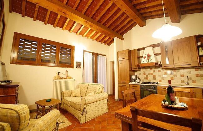 Gatto Bianco Tizzauli - Foto 27