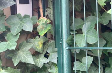 Zuhause In Unserer Hausele - Foto 27