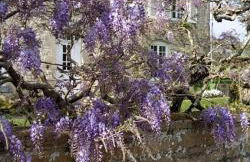 maison familiale au cœur du cotentin - Foto 61
