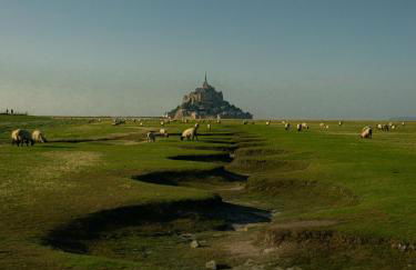 Le Pommier Gite neuf avec parking privé clos - Foto 20