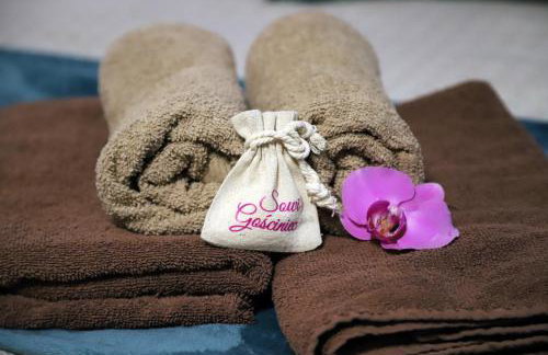 Sowi Gościniec Wellness & Breakfast - Foto 23