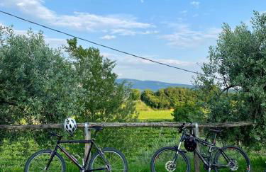 Agriturismo Ca' Cristane - Foto 12