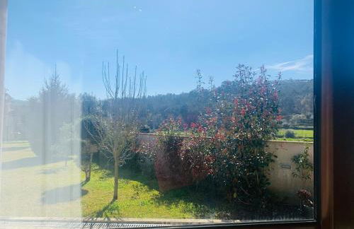 Oliveira's Little House - Foto 39