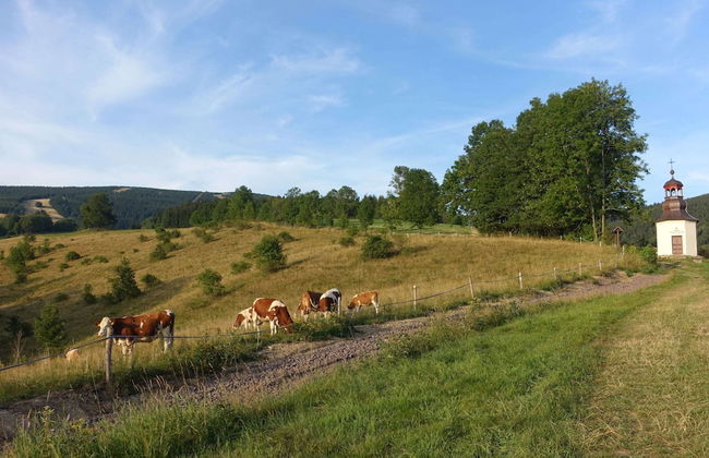 Apartment Near Ski Slopes - Photo 25