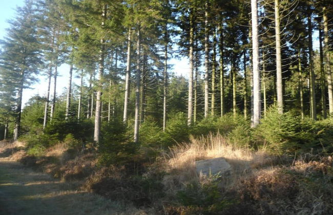 Terrace Apartment, Trois-ponts - Foto 36