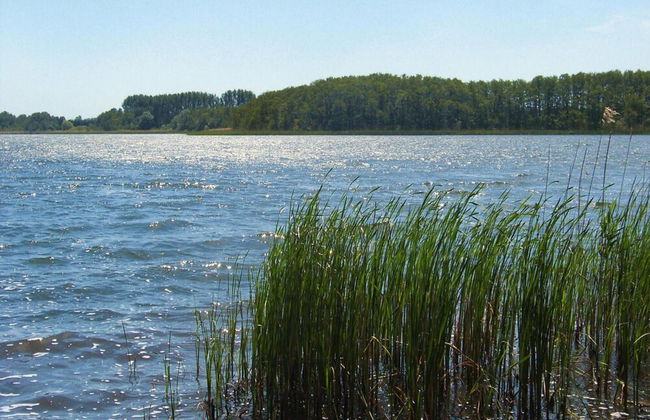 Reihenhaus am Kummerower See, Sommersdorf - Foto 9