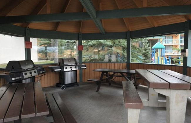 Douglas Fir Resort and Chalets - Photo 35