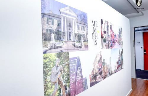 The Stallion - Foto 11