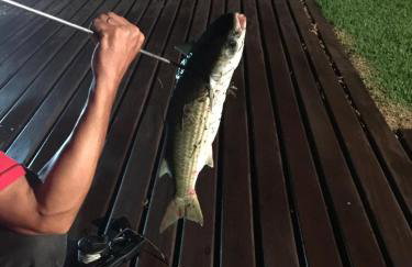 SCR-Angra do Reis-Linda Casa 5QTS 4 Suítes - Foto 17