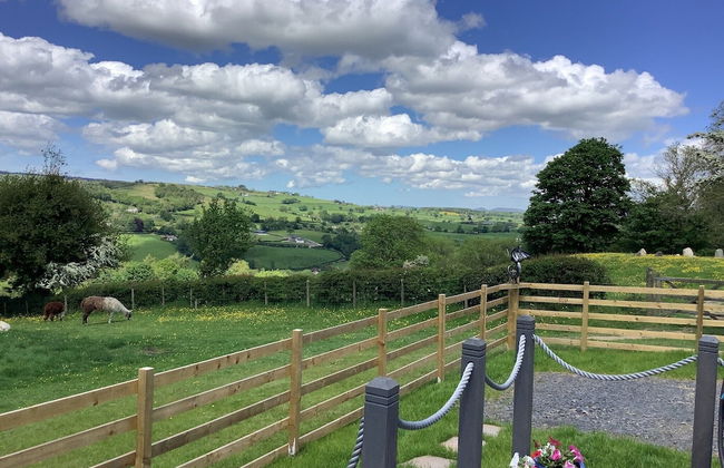 The Shepherds Hut at Hafoty Boeth - Foto 33