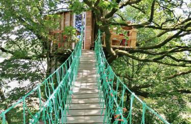 Le nid dans le chêne - Photo 31