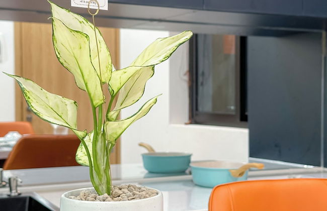 Unite Premier Apartment Ho Chi Minh - Foto 34