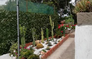 Attico Bouganville - Foto 25