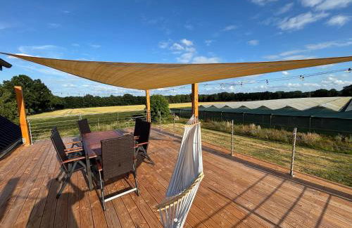 Terrassen Paradies Lüneburger Heide - Foto 15